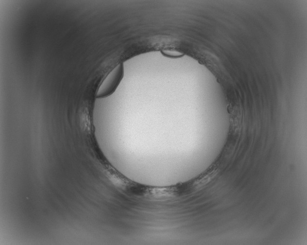 X0000074940622200609221706