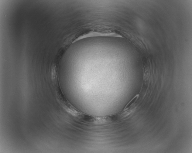 X0000074940623200609221706