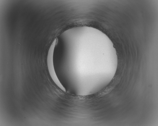 X0000074940624200609221706