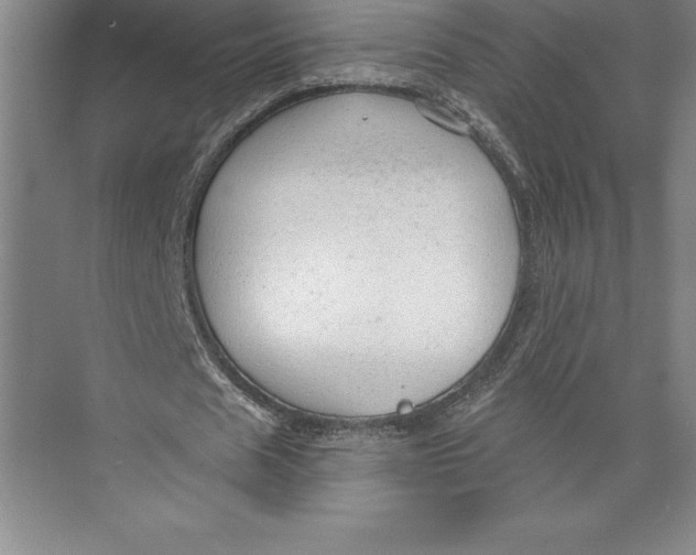 X0000074940625200609221706