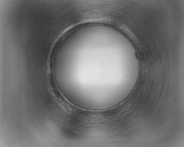 X0000074940628200609221706