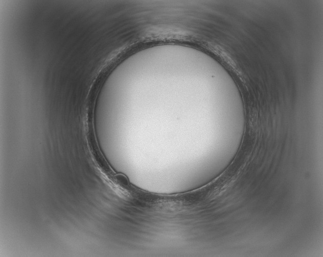 X0000074940629200609221706