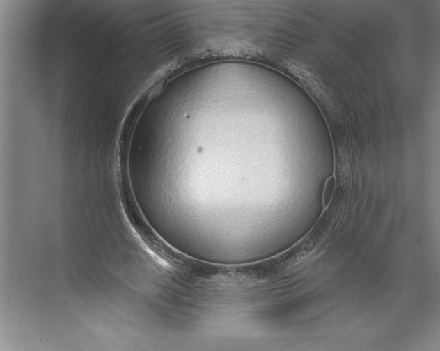 X0000074940630200609221706