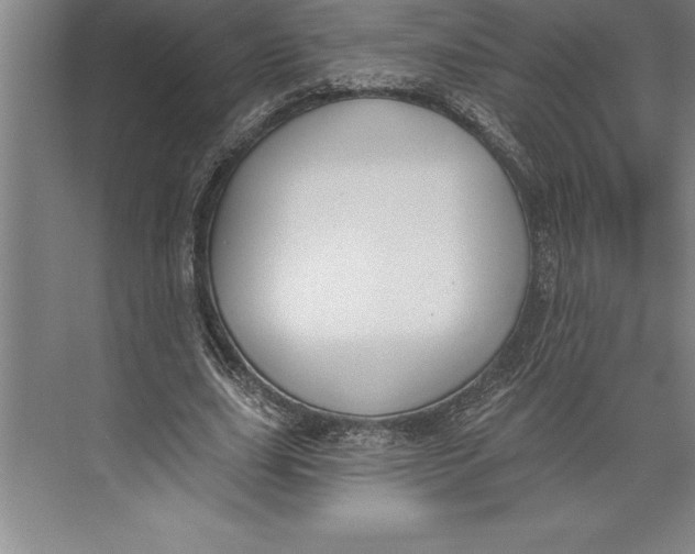 X0000074940631200609221706