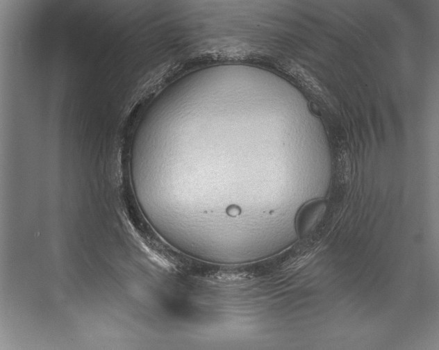 X0000074940638200609221706