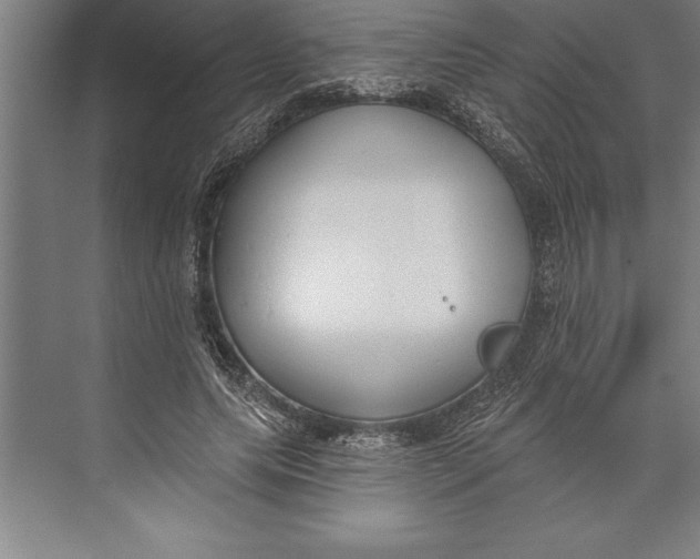 X0000074940639200609221706