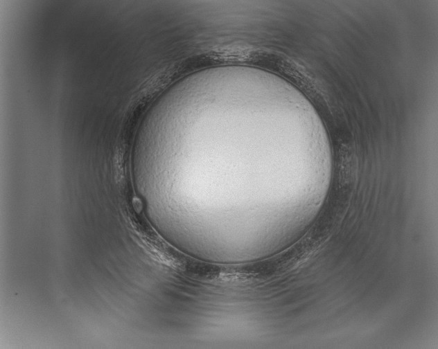 X0000074940641200609221706