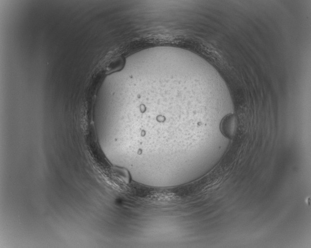 X0000074940642200609221706