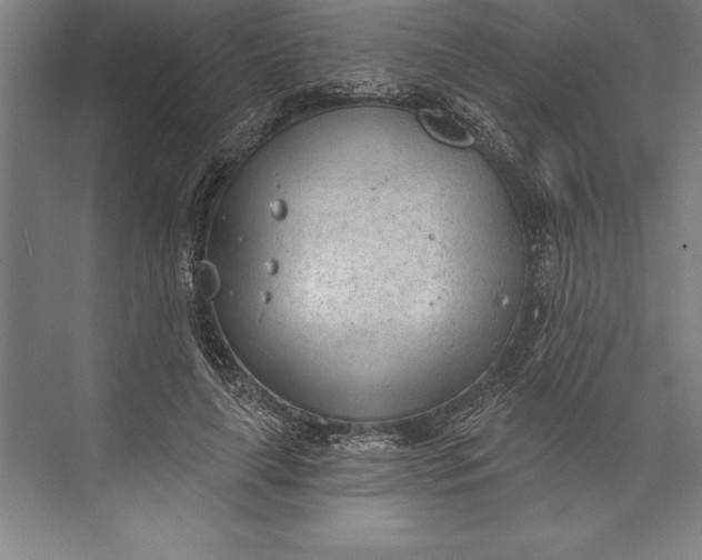 X0000074940643200609221706