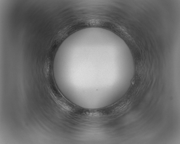 X0000074940645200609221706