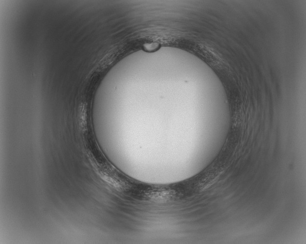 X0000074940646200609221706