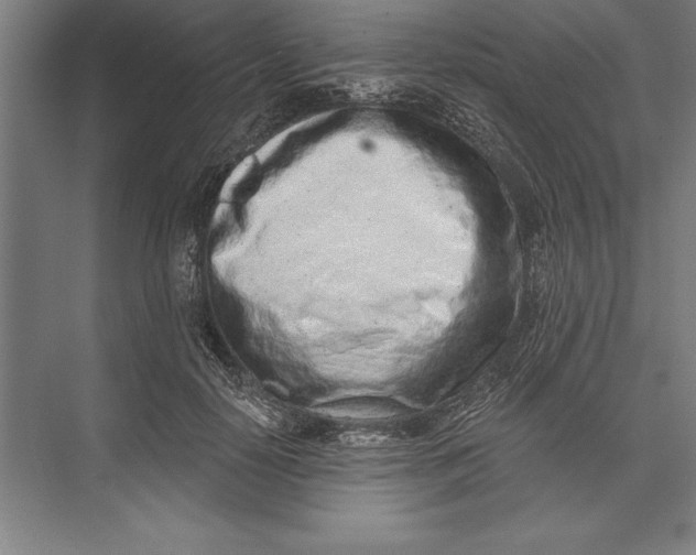 X0000074940650200609221706