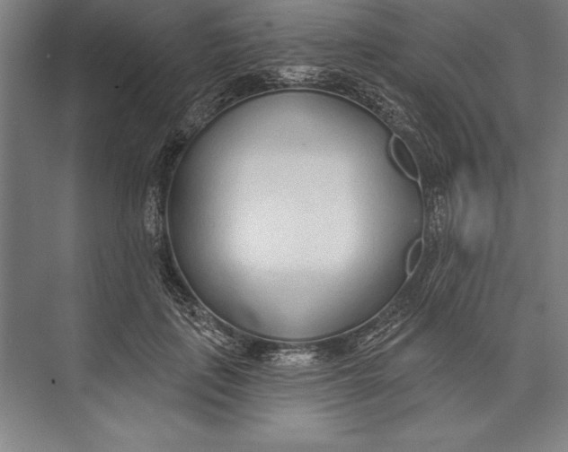 X0000074940651200609221706