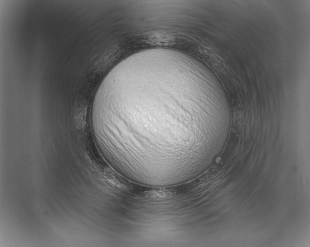 X0000074940652200609221706