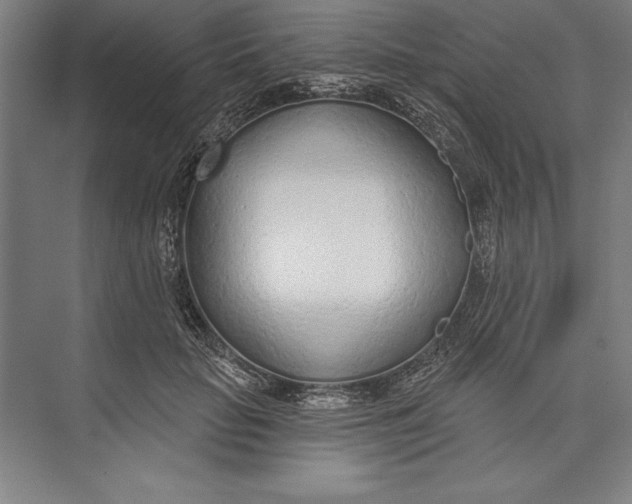 X0000074940653200609221706