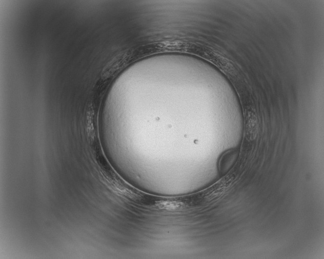 X0000074940654200609221706