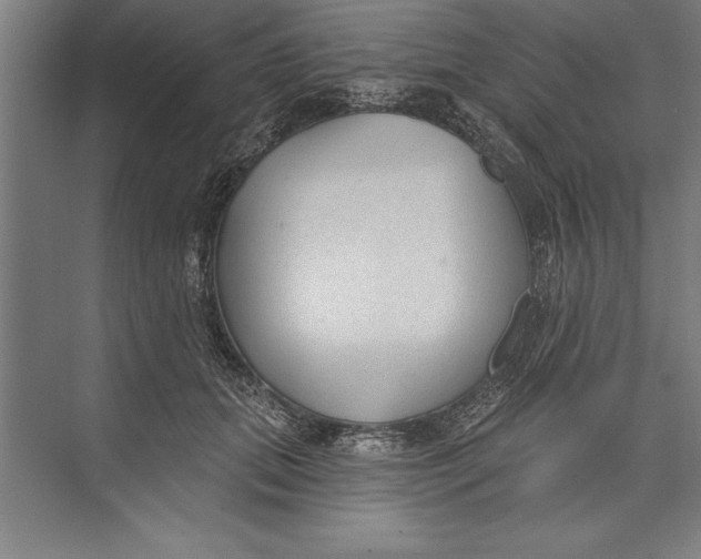 X0000074940655200609221706