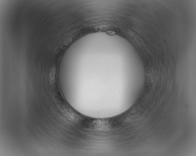 X0000074940660200609221706