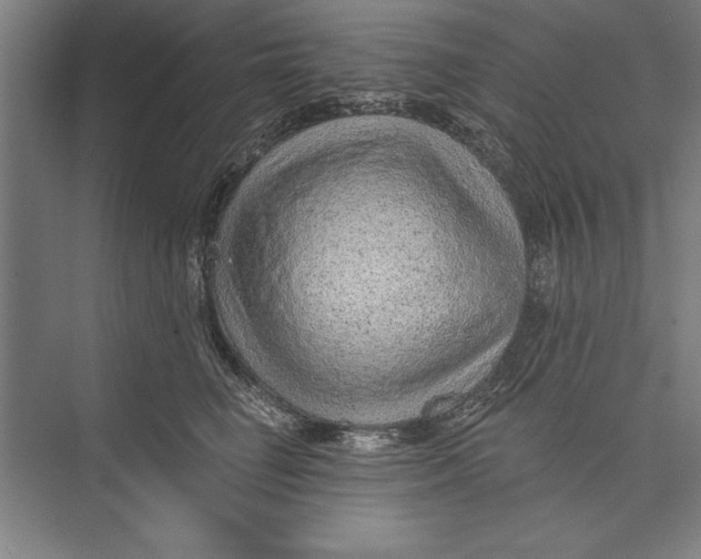 X0000074940662200609221706