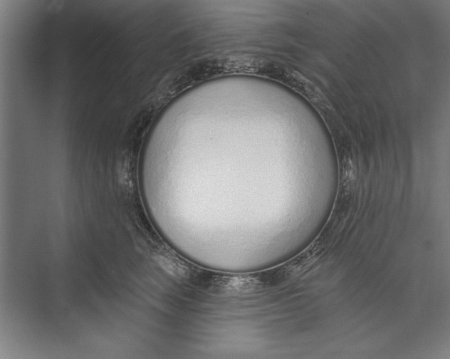 X0000074940663200609221706