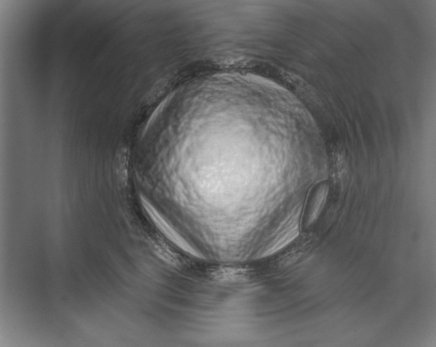 X0000074940664200609221706