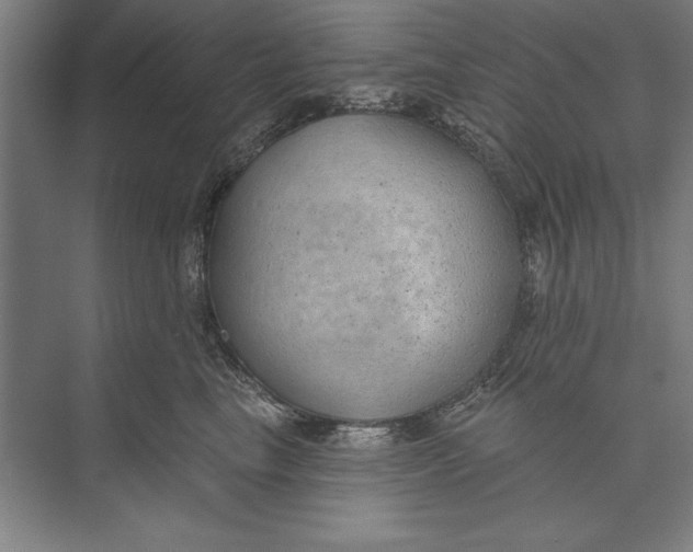 X0000074940665200609221706