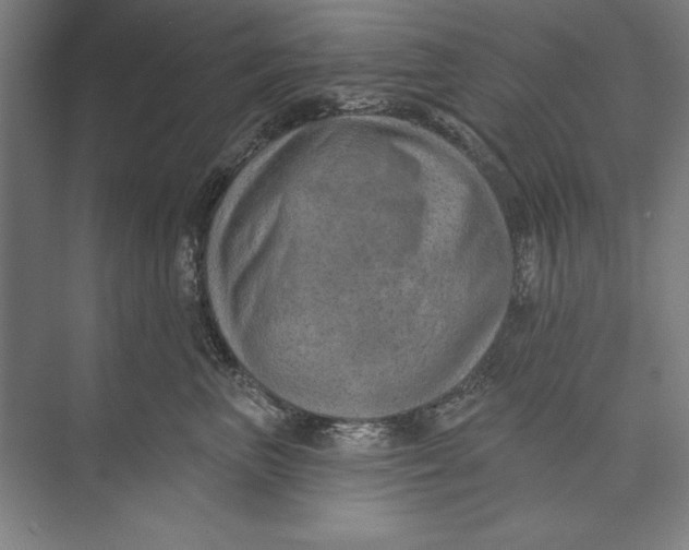 X0000074940667200609221706