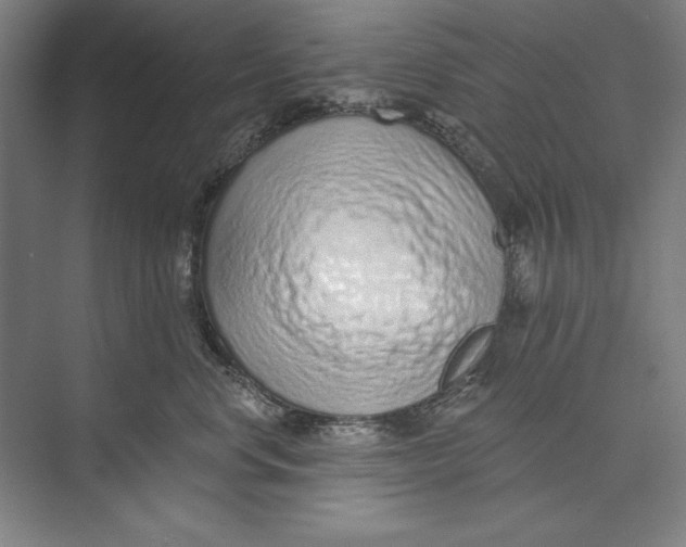 X0000074940668200609221706