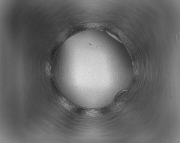 X0000074940669200609221706