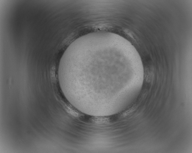 X0000074940670200609221706