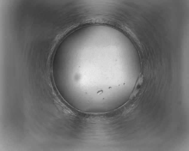 X0000074940673200609221706