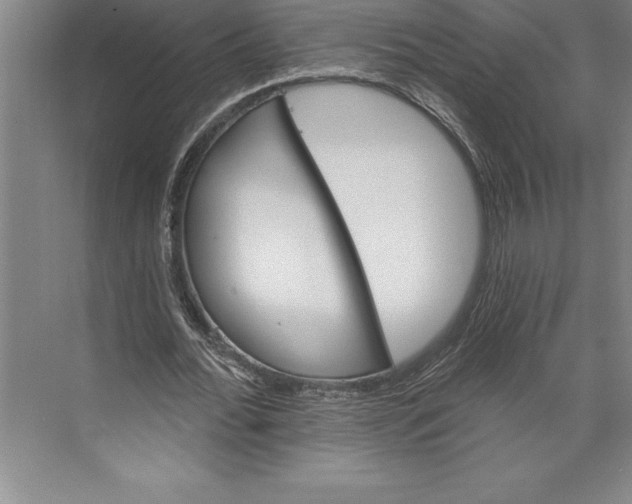 X0000074940676200609221705