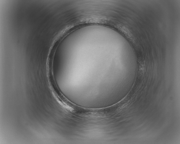 X0000074940678200609221705