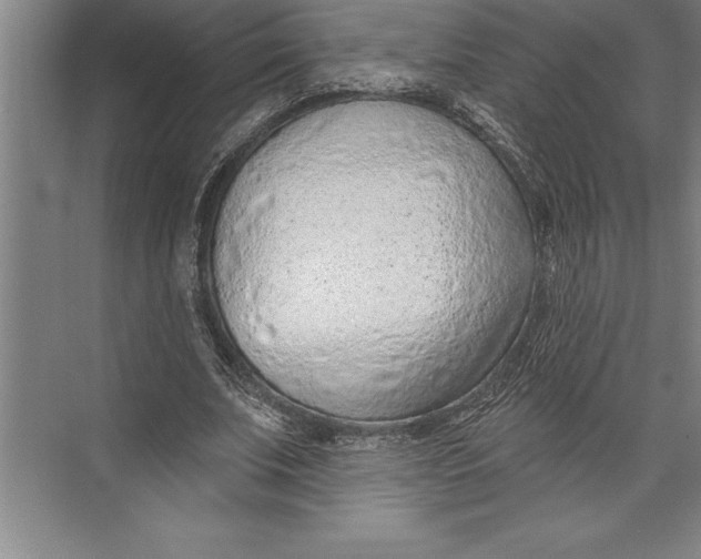 X0000074940679200609221705