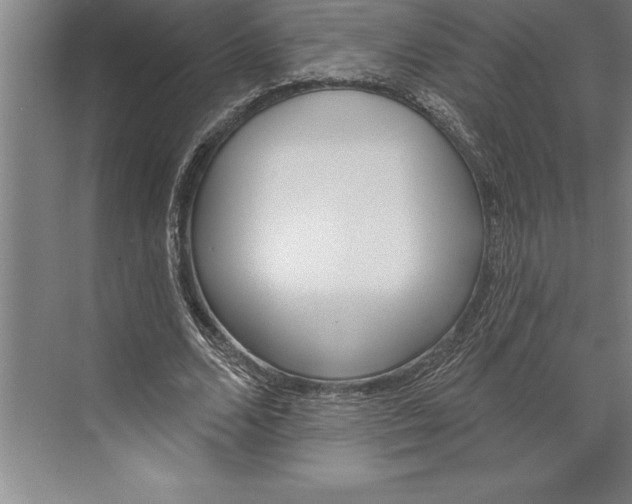 X0000074940680200609221705