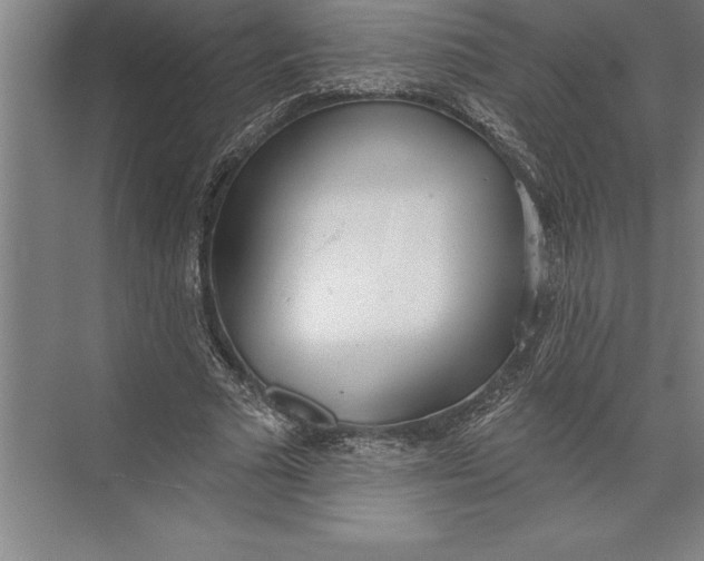 X0000074940681200609221705