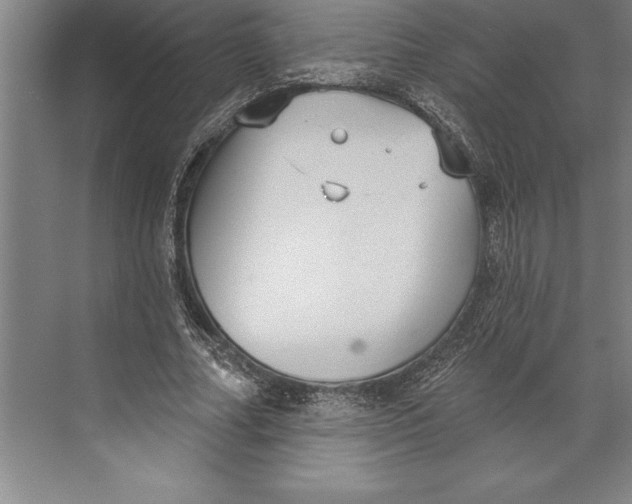 X0000074940682200609221705