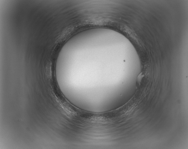 X0000074940685200609221705