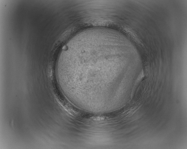 X0000074940687200609221705