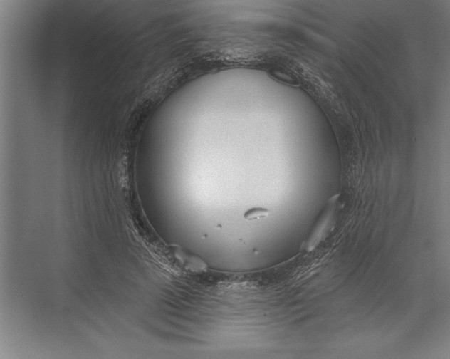 X0000074940689200609221705