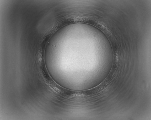 X0000074940691200609221705