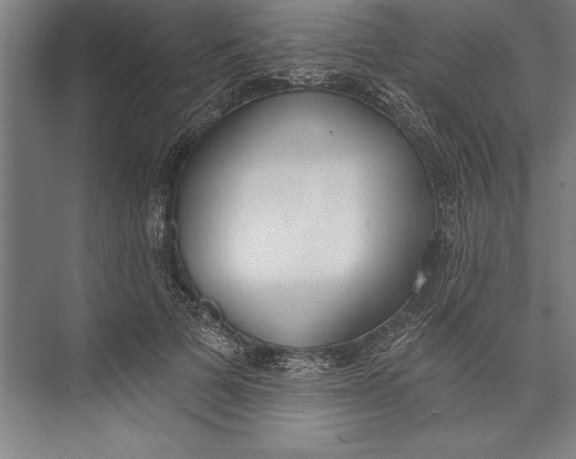 X0000074940697200609221705