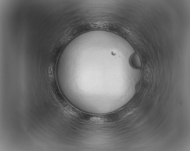 X0000074940699200609221705