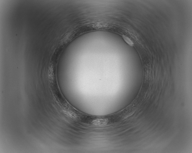 X0000074940700200609221705