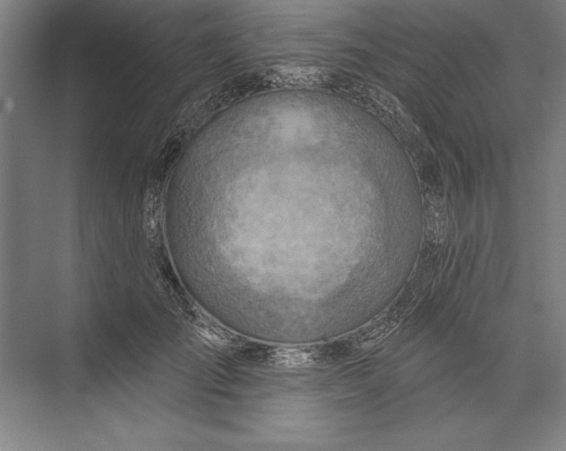 X0000074940701200609221705