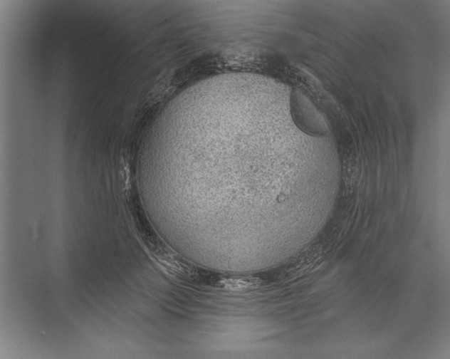 X0000074940703200609221705