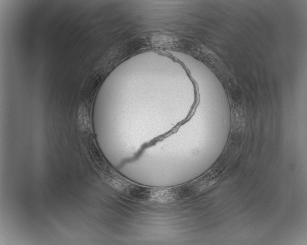 X0000074940705200609221705