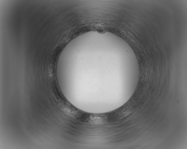 X0000074940706200609221705