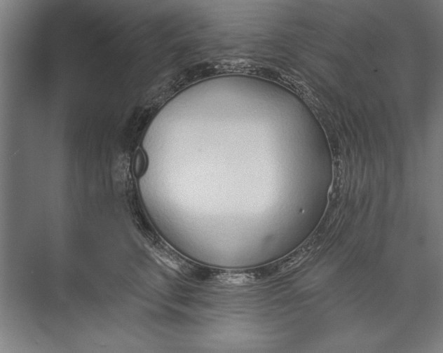 X0000074940711200609221705