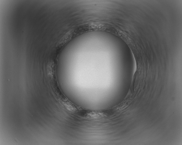 X0000074940712200609221705